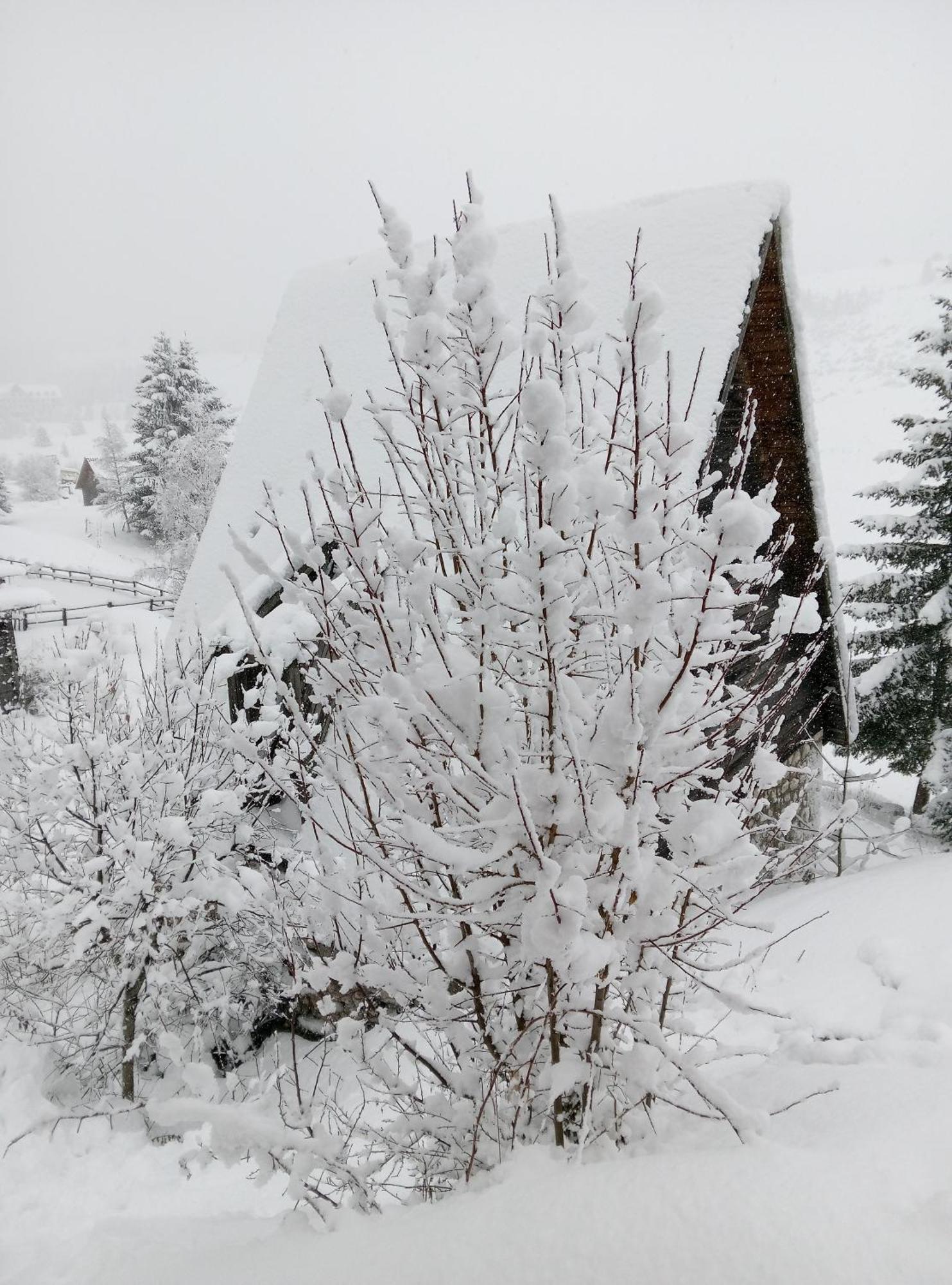 דירות זבליאק Durmitor מראה חיצוני תמונה