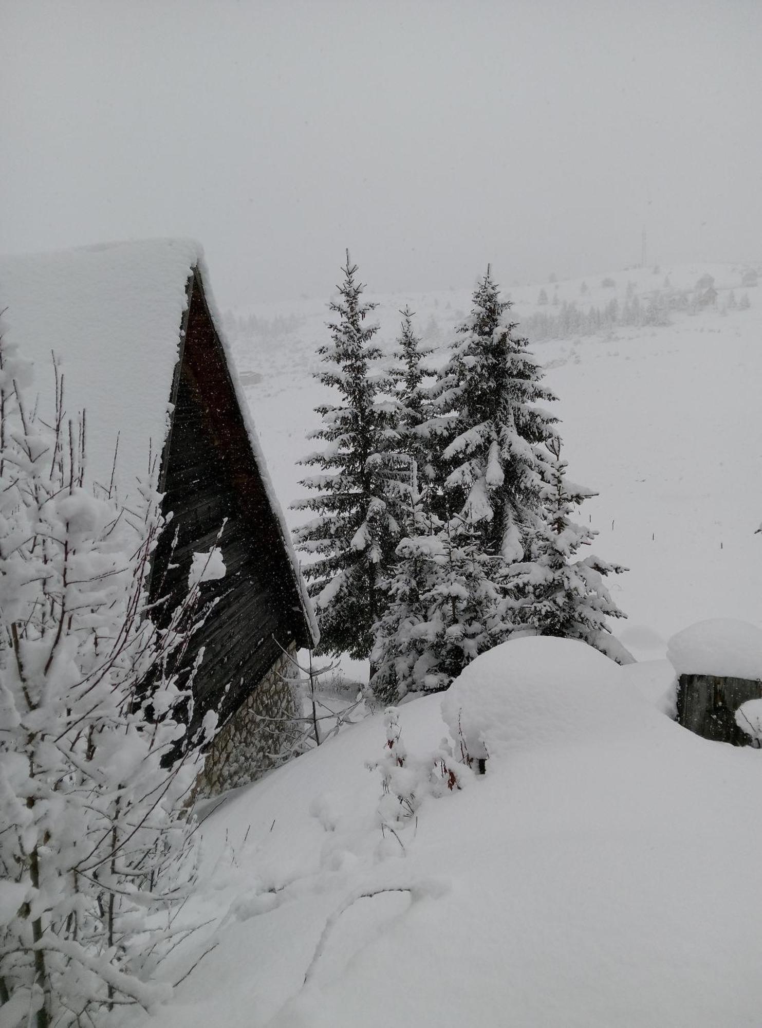 דירות זבליאק Durmitor מראה חיצוני תמונה