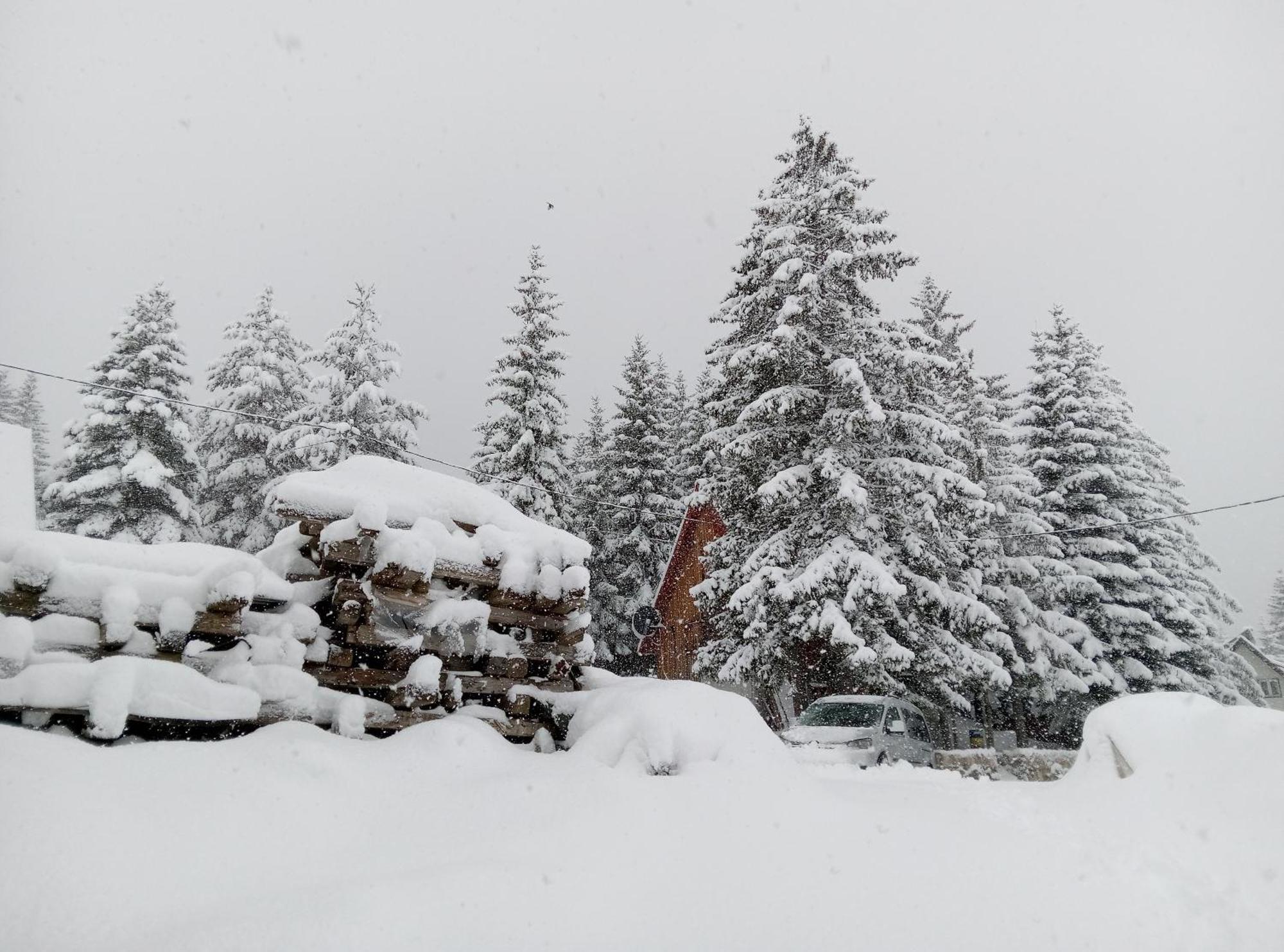 דירות זבליאק Durmitor מראה חיצוני תמונה