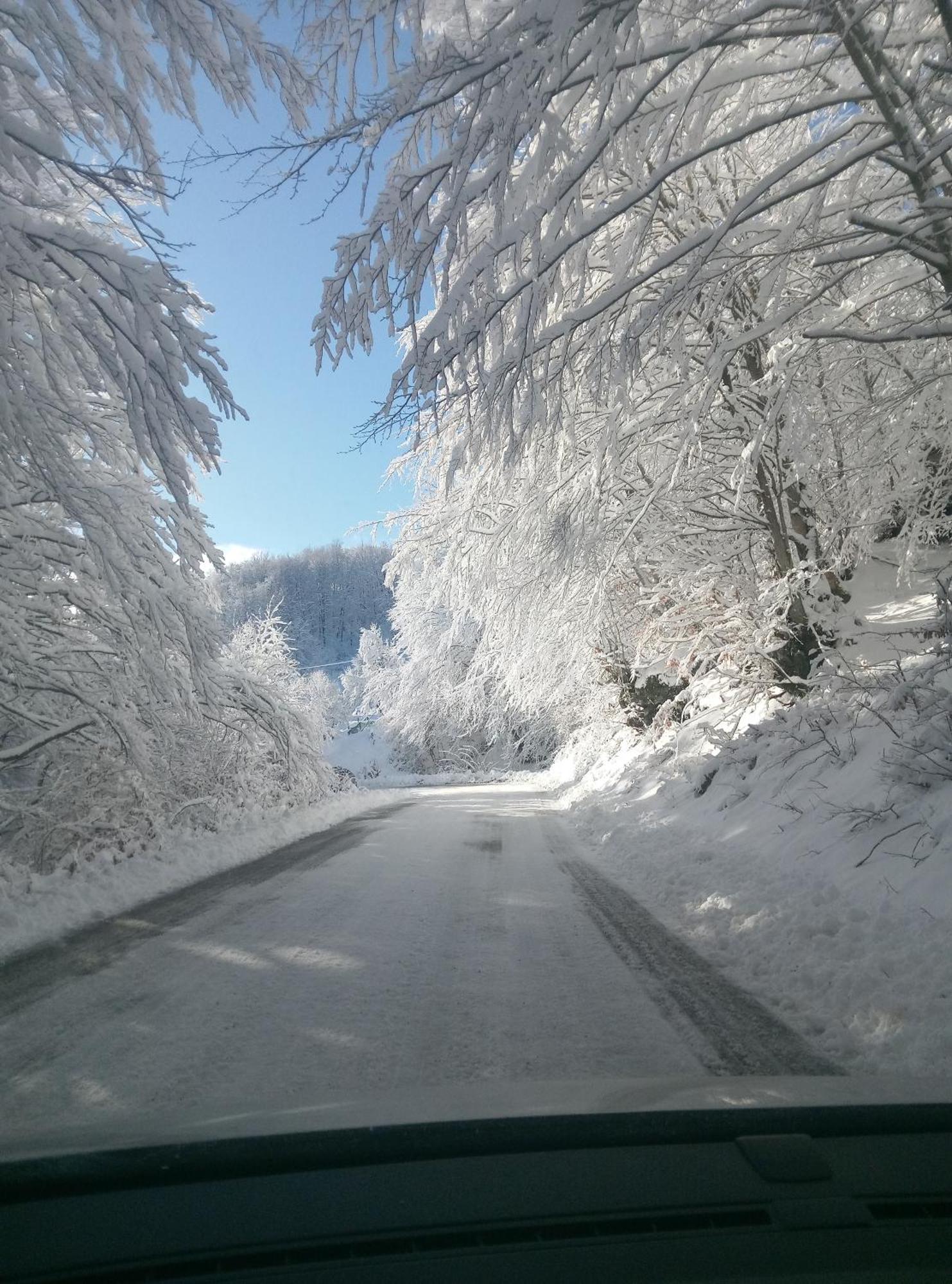 דירות זבליאק Durmitor מראה חיצוני תמונה